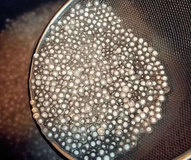 Hãy nấu bột báng cho đến khi trong suốt, còn đục là vẫn chưa chín